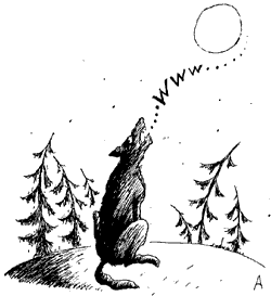 Karikatura