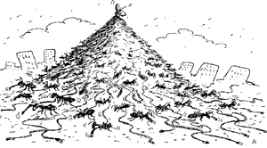 Karikatura