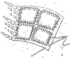 karikatura