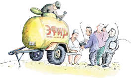 karikatura