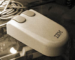 width=250