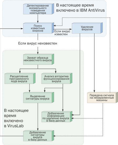 Рис. 1. Структура иммунной системы (IBM).