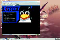 Linux ��� ����������� Windows 2003 Server Enterprise Edition.