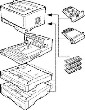 HP LaserJet 5100 dtn: ������ ��� ������.