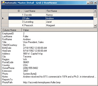 Figure 10 DataRowViewer Control in Action