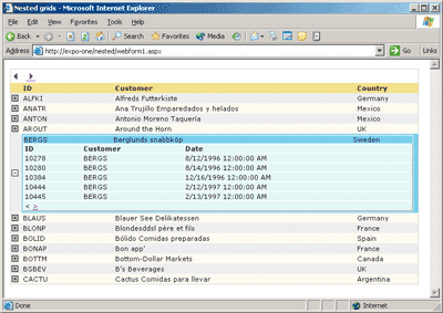 Figure 2 Embedded Child DataGrid