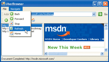 Figure 3 Web Browser Using New Controls