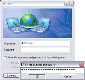 Figure 1 Master Password Prompt