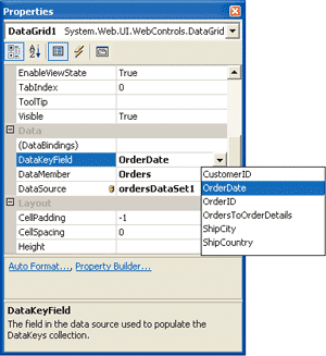 Figure 1 Data Binding Properties