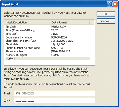 Figure 15 Input Mask Editor