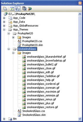 Figure 1 Custom Themes in ASP.NET 2.0