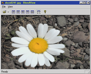 Figure 2 Original Image