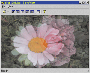 Figure 2 Blended Image