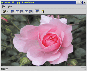 Figure 2 Final Image