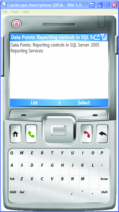 Figure 3 Item Description
