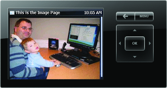 Figure 9d Image Page (Content ID 3 Showing Image (Content ID 1000)