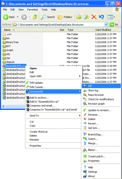 The TortoiseSVN Interface 