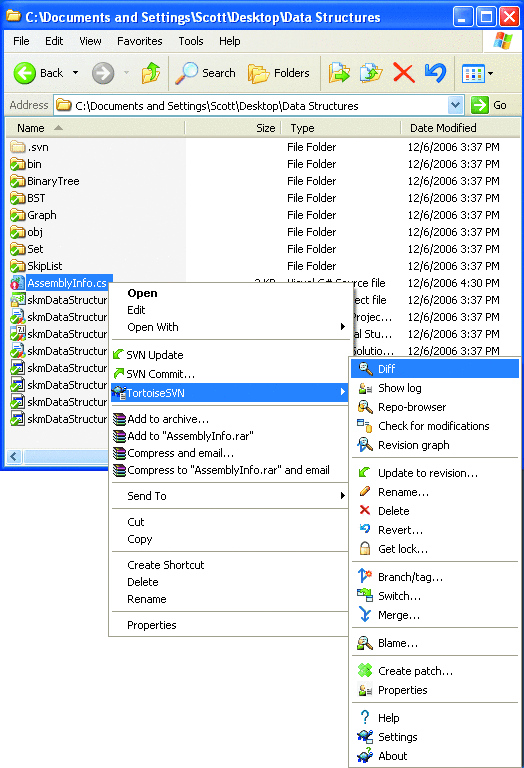 The TortoiseSVN Interface 