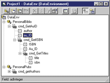 Figure 9 Data Environment Designer